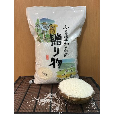 館山産コシヒカリ 5kg