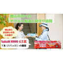 【ふるさと納税】ヤクルト配達見守り訪問(9週間/Yakult1000 63本)館山市のお住まいの方【1405280】