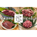 【ふるさと納税】館山ジビエ 満足セット 猪肉 計1kg(4種)【配送不可地域:離島】【1486491】