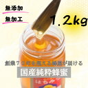 4位! 口コミ数「1件」評価「4」ひふみ養蜂園 菜の花はちみつ 1.2kg【1486511】