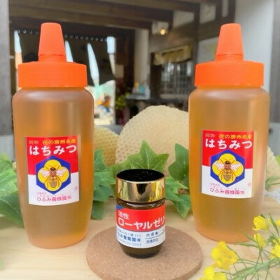 ひふみ養蜂園 はちみつ(500g×2)・ローヤルゼリー(30g)[配送不可地域:離島]