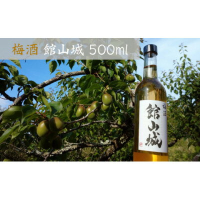 梅酒 館山城(アルコール度数 20度) 500ml×1本