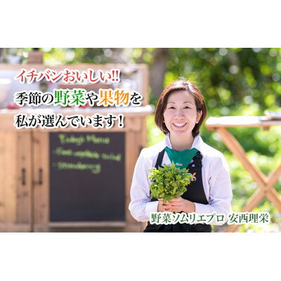 7位! 口コミ数「0件」評価「0」野菜ソムリエプロ厳選!こだわりの旬野菜BOX「リエビン」季節の野菜セット【配送不可地域：離島・沖縄県】【1488314】