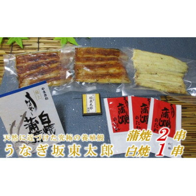 天然 に近づけた究極の養殖 鰻「坂東太郎 使用」うなぎ 蒲焼 2串 ・ 白焼1串 大サイズ[配送不可地域:離島]