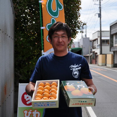 【ふるさと納税】【先行予約】5月下旬より順次発送　露地栽培「房州びわ」 2L・3Lサイズ合計12粒　化粧箱入り【配送不可地域：離島】【1492169】