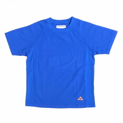 【ふるさと納税】「SKINFRIEND SUMMER」丸首半袖Tシャツ　男女兼用Lサイズ/ブルー【1495124】