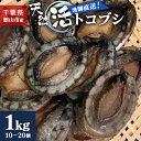 【ふるさと納税】【先行予約】【金曜日発送】漁師直送!天然活トコブシ1kg(10〜20個)【配送不可地域:離島・北海道・沖縄県・東北・中国・四国・九州】【1532...