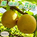 【ふるさと納税】【数量限定】館山齊藤果樹園の完熟梨「新高(にいたか)」6~9個【1534578】