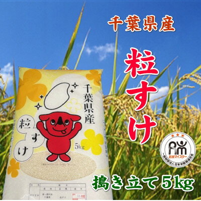 【ふるさと納税】令和7年産千葉県産粒すけ精米5kg【1576623】