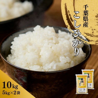 【ふるさと納税】千葉県産こしひかり(精米)10kg(5kg×2袋)【1673834】