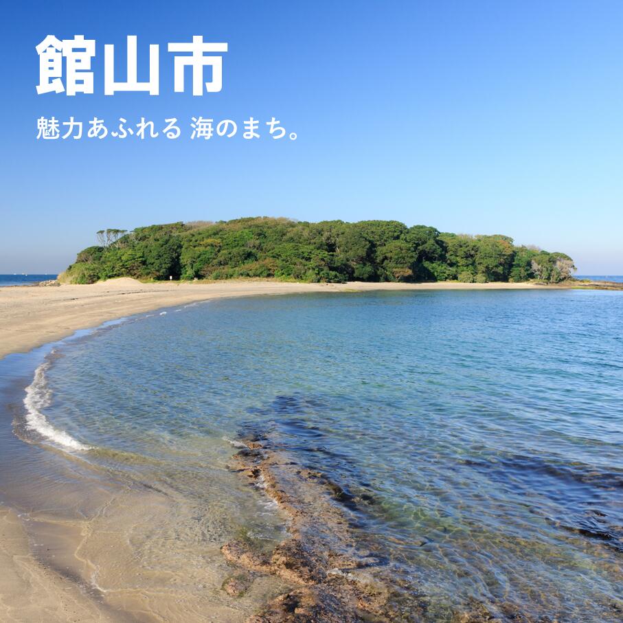 【ふるさと納税】千葉県館山市の対象施設で使える楽天トラベルクーポン　寄付額500,000円　旅行券 ギフト トラベル 旅行 チケット トラベルチケット 金券 プレゼント 贈り物 国内旅行 ホテル 旅館 宿泊 宿泊券 千葉県 館山 南房総 海 レジャー 満喫 リラックス 記念 お祝いその2