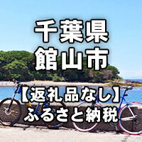 千葉県館山市への寄付(返礼品はありません)
