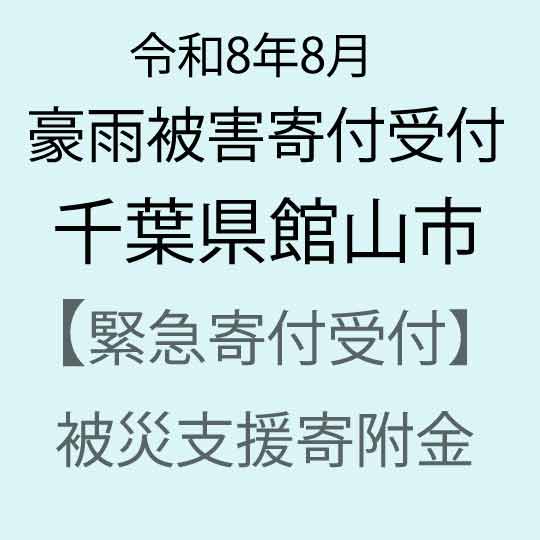 [令和8年8月千葉県豪雨被害災害支援緊急寄附受付]千葉県館山市災害応援寄附金(返礼品はありません)