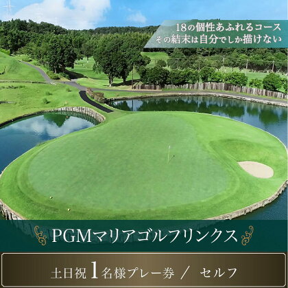 PGMマリアゴルフリンクス 土日祝1名プレー券（セルフ） ふるさと納税 ゴルフプレー券 ゴルフ ゴルフ場 プレー券 千葉県 木更津市 送料無料 KB006