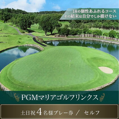 PGMマリアゴルフリンクス 土日祝4名プレー券（セルフ） ふるさと納税 ゴルフプレー券 ゴルフ ゴルフ場 プレー券 千葉県 木更津市 送料無料 KB008