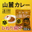 【ふるさと納税】木更津山麓カレーひねり揚げ 1ケース35g×30袋 千葉 木更津 送料無料 KP005