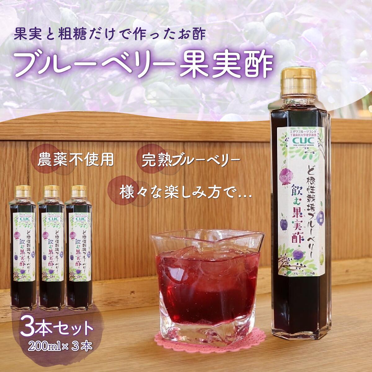 【ふるさと納税】＜果実と粗糖だけで作ったお酢＞飲むブルーベリー果実酢　3本セット ふるさと納税 ブルーベリー 千葉県 木更津 送料無料 KT004