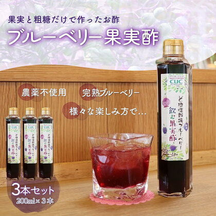 ＜果実と粗糖だけで作ったお酢＞飲むブルーベリー果実酢　3本セット ふるさと納税 ブルーベリー 千葉県 木更津 送料無料 KT004