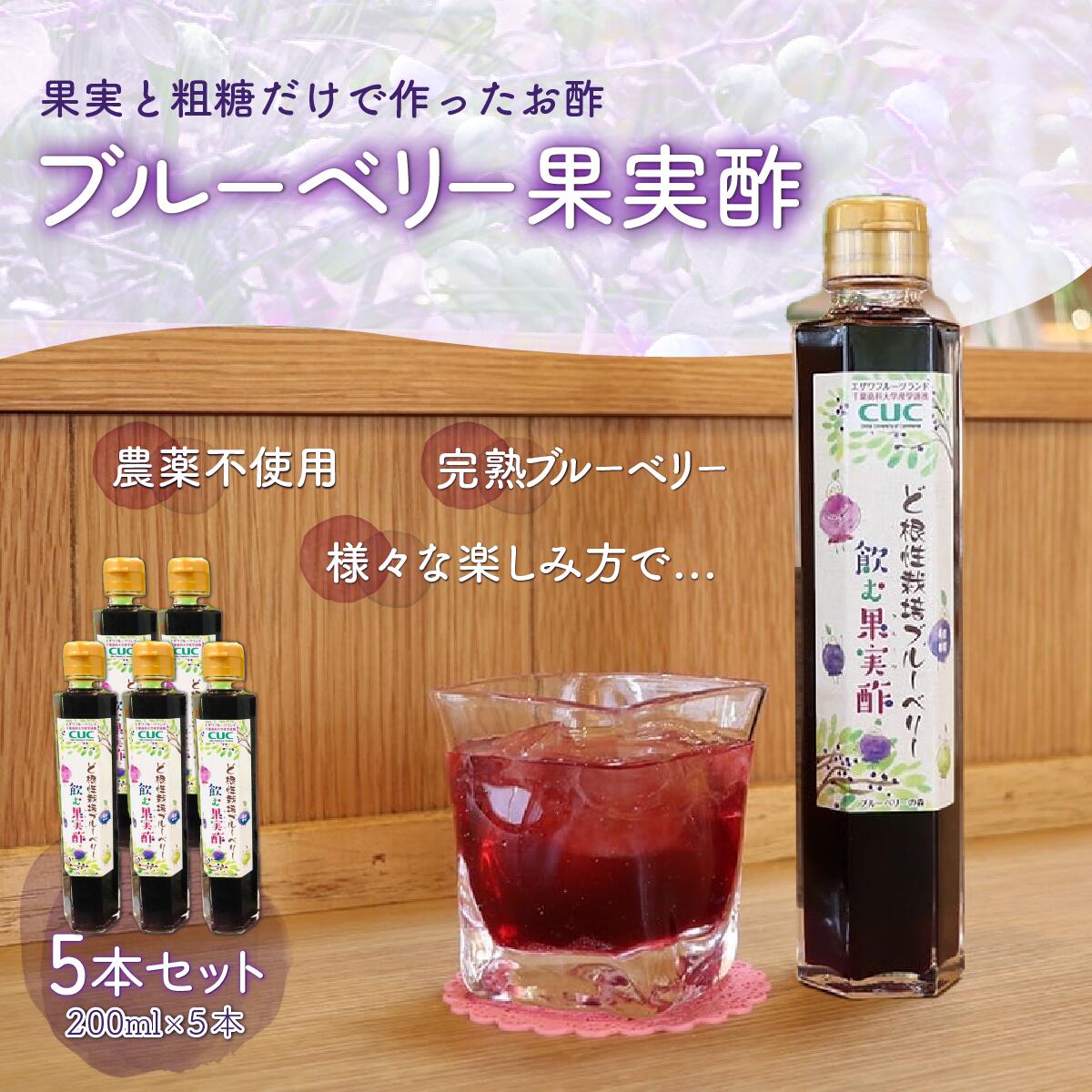 1位! 口コミ数「0件」評価「0」＜果実と粗糖だけで作ったお酢＞飲むブルーベリー果実酢　5本セット ふるさと納税 ブルーベリー 千葉県 木更津 送料無料 KT005