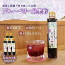 3位! 口コミ数「0件」評価「0」＜果実と粗糖だけで作ったお酢＞飲むブルーベリー果実酢　5本セット ふるさと納税 ブルーベリー 千葉県 木更津 送料無料 KT005