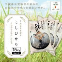 【ふるさと納税】千葉県木更津産こしひかり15kg（5kg×3