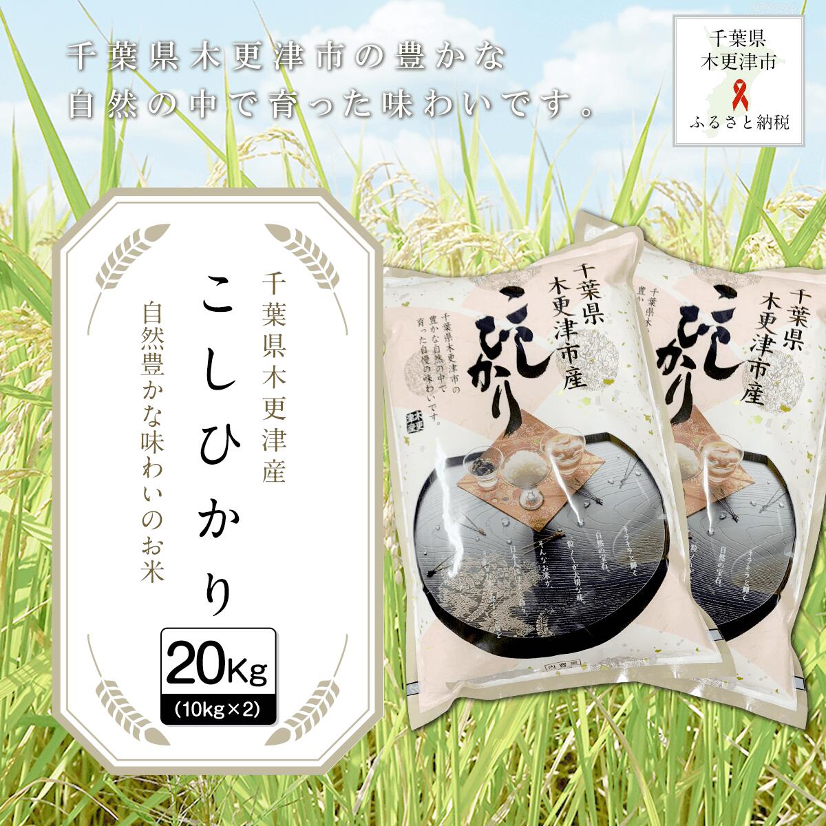 3位! 口コミ数「0件」評価「0」千葉県木更津産こしひかり20kg（10kg×2） ふるさと納税 米 20kg コシヒカリ 千葉県 木更津市 送料無料 KW003