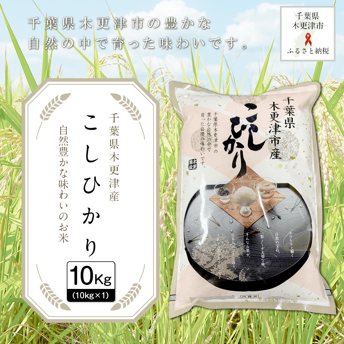 36位! 口コミ数「0件」評価「0」千葉県木更津産こしひかり10kg（10kg×1） ふるさと納税 米 10kg コシヒカリ 千葉県 木更津市 送料無料 KW001