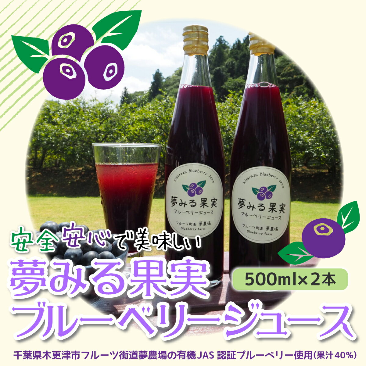 ＜有機栽培ブルーベリー使用＞夢みる果実ブルーベリージュース（果汁40％）500ml×2本 ふるさと納税 ブルーベリー ブルーベリージュース 千葉県 木更津市 送料無料 KAA001