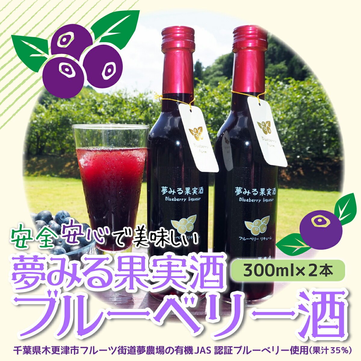 [有機栽培ブルーベリー使用]夢みる果実ブルーベリー酒 300ml×2本 ふるさと納税 ブルーベリー 千葉県 木更津市 送料無料