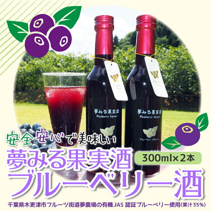 ＜有機栽培ブルーベリー使用＞夢みる果実ブルーベリー酒　300ml×2本 ふるさと納税 ブルーベリー 千葉県 木更津市 送料無料 KAA002