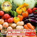 【ふるさと納税】特選！農薬不使用グルメ野菜セット【旬のお野菜や果物を6品～10品】＜農業公園ぽんぽこ村＞ ふるさと納税 野菜 野菜セ..