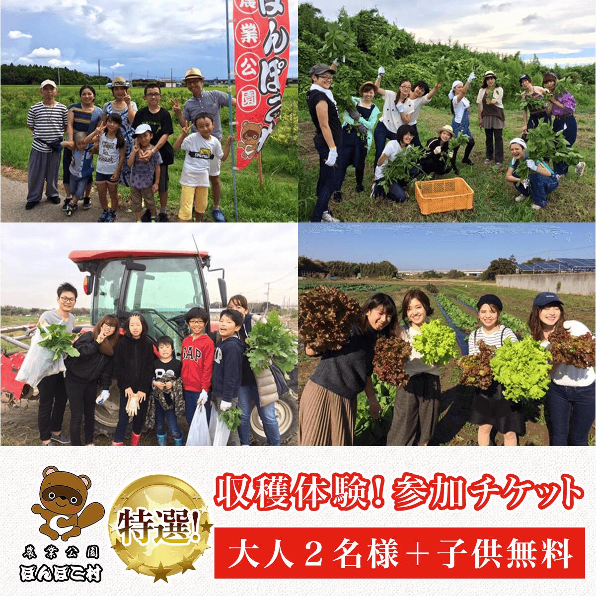 [農業公園ぽんぽこ村]特選収穫体験!参加チケット(大人2名様+子供無料) ふるさと納税 野菜 野菜セット 収穫体験 千葉県 木更津 送料無料