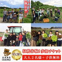 楽天千葉県木更津市【ふるさと納税】＜農業公園ぽんぽこ村＞特選収穫体験！参加チケット（大人2名様＋子供無料） ふるさと納税 野菜 野菜セット 収穫体験 千葉県 木更津 送料無料 KAT003