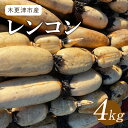 【ふるさと納税】【先行予約/11月~発送開始】木更津市産レンコン4kgふるさと納税 れんこん レンコン 千葉県 木更津市 送料無料 KBT001