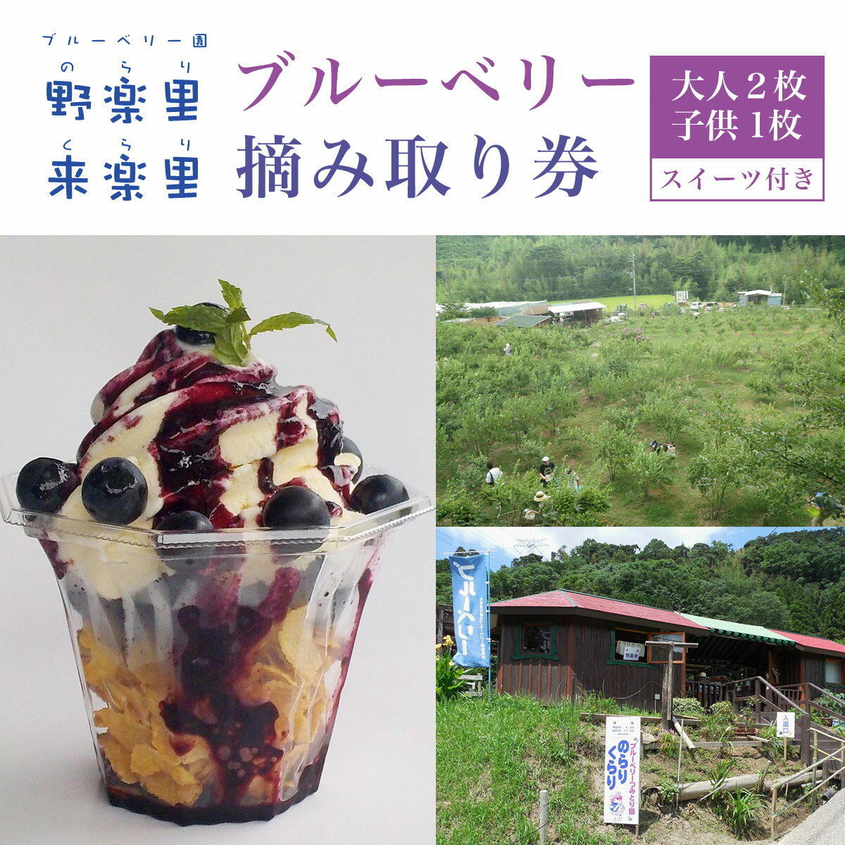 ブルーベリー園のらりくらり摘み取り券(大人2枚・子供1枚)スイーツ(1名様分)ふるさと納税 ブルーベリー 摘み取り体験 体験 木更津 千葉県 送料無料