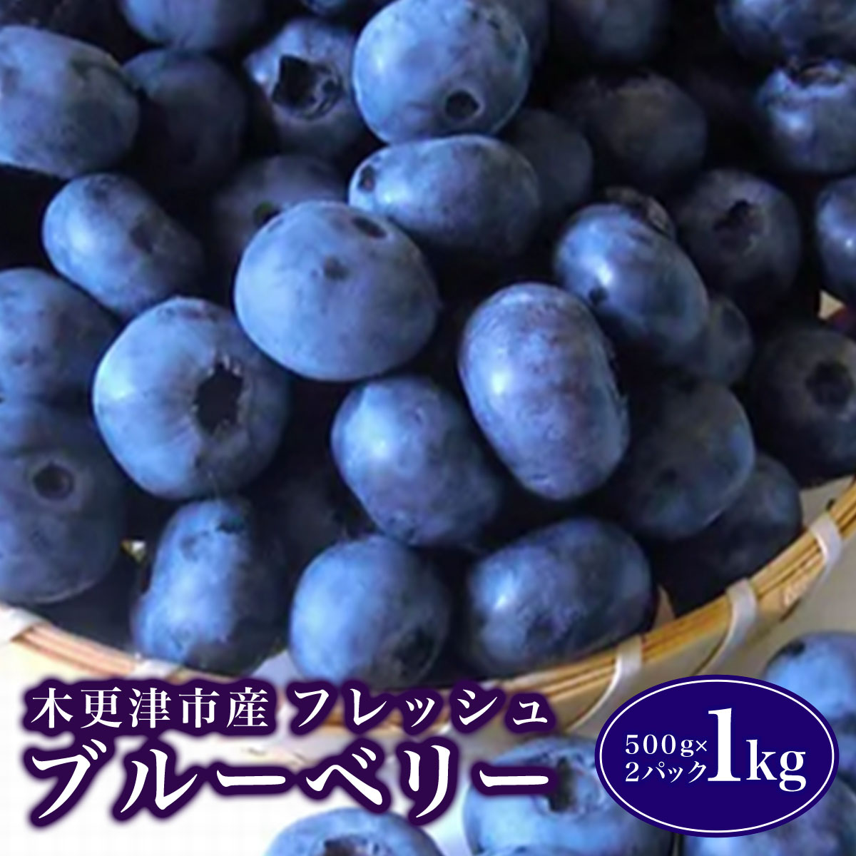 【ふるさと納税】 木更津市産　フレッシュ　ブルーベリー　1kg（500g×2パック）ふるさと納税 ブルーベリー フレッシュ 期間限定 木更津 千葉県 送料無料 KCA001のサムネイル