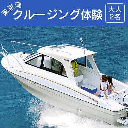 東京湾クルージング体験＜大人2名＞ふるさと納税 クルージング 東京湾 アクアライン 体験 千葉県 木更津 送料無料 KN007