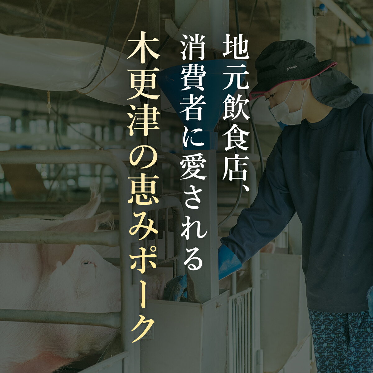 【ふるさと納税】 ＜木更津の恵みポーク＞ハンバーグのたね500g×5ふるさと納税 ハンバーグ ブランド豚 豚肉 良質なタンパク質 ビタミンB豊富 千葉県 木更津市 KCB005