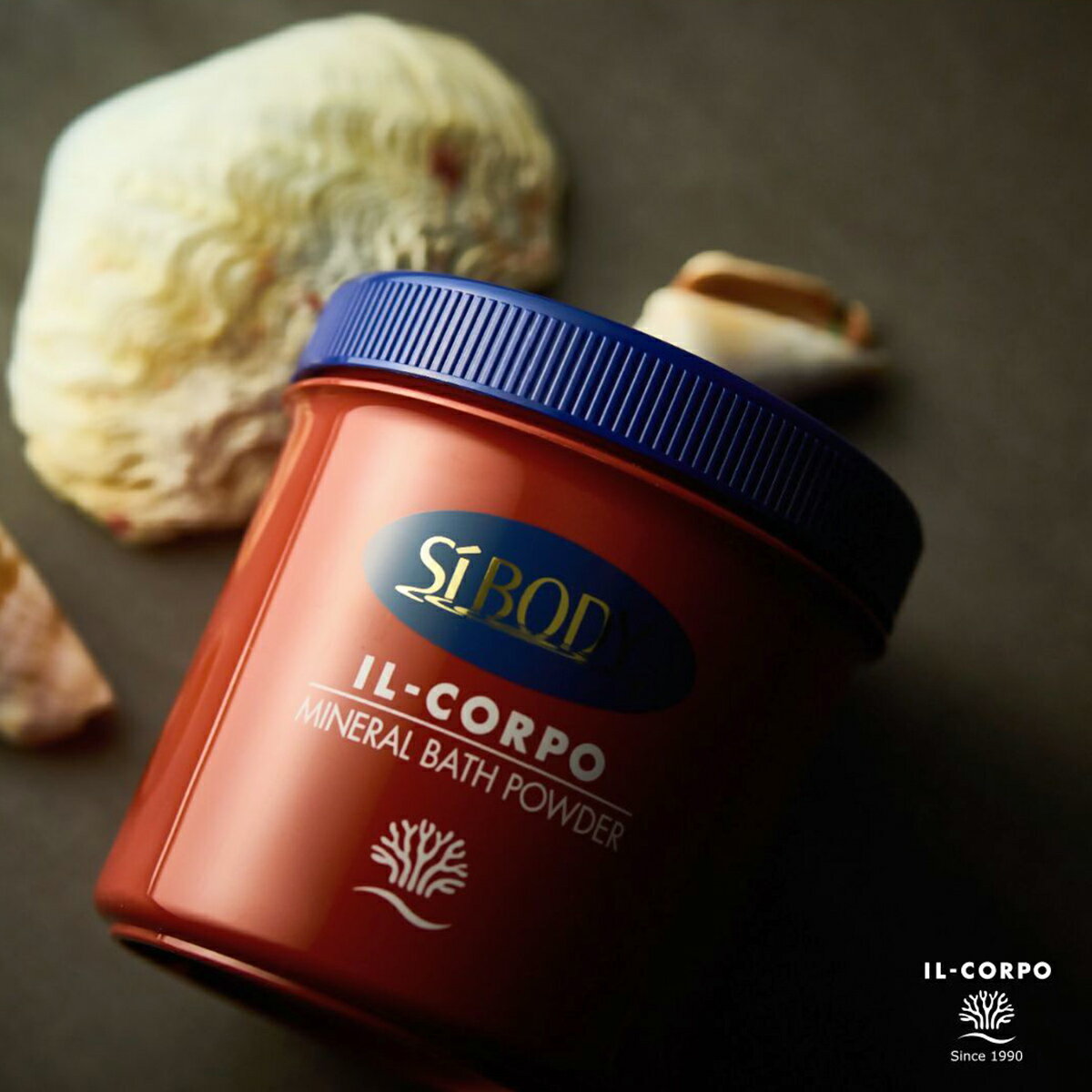 【ふるさと納税】イルコルポ ミネラルバスパウダーオリジナル 600g 30回分 【 ふるさと納税 入浴剤 バスパウダー 美肌 保湿 整肌 アロマ ミネラル 雪塩 海藻エキス スクワラン パパイン お風呂 バス用品 千葉県 木更津 送料無料 】KDD001