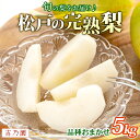 【ふるさと納税】梨 品種おまかせ 5kg 2025年 千葉 詰め合わせ 期間限定 まつどの梨 フルーツ おいしい 贈り物 高級 果物 旬 完熟梨 吉乃園 ギフト 幸水 豊水 菊水 あきづき 新高 貴重 おすすめ