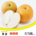 松戸の完熟梨「黄金（おうごん）」5kg　ギフト　梨園　2024年　期間限定　フルーツ