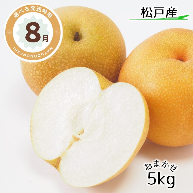 【ふるさと納税】梨 フルーツ 品種おまかせ 5kg 2024