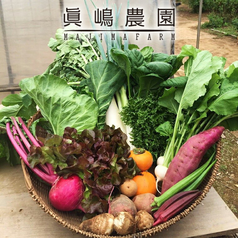 【ふるさと納税】季節 おまかせ 野菜 6品～8品 セット 詰め合わせ 眞嶋農園 沖縄及び離島へのお届けは...