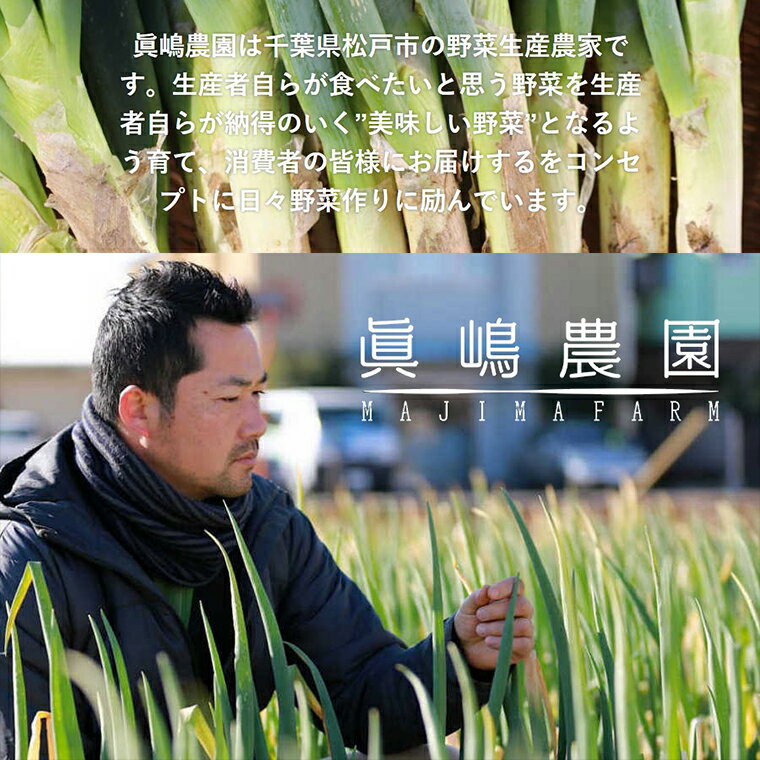 【ふるさと納税】季節 おまかせ 野菜 6品～8品 セット 詰め合わせ 眞嶋農園 沖縄及び離島へのお届けはできません