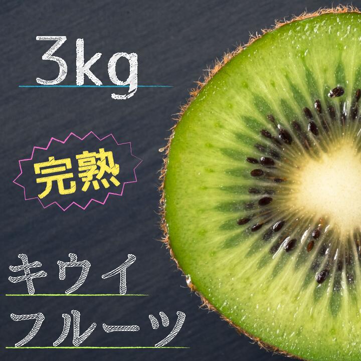 松戸産 キウイフルーツ 品種おまかせ 3kg フルーツ