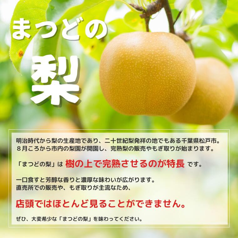 【ふるさと納税】【吉乃園】松戸の完熟梨「幸水」5kg　ギフト　梨園　2024年　期間限定　フルーツ