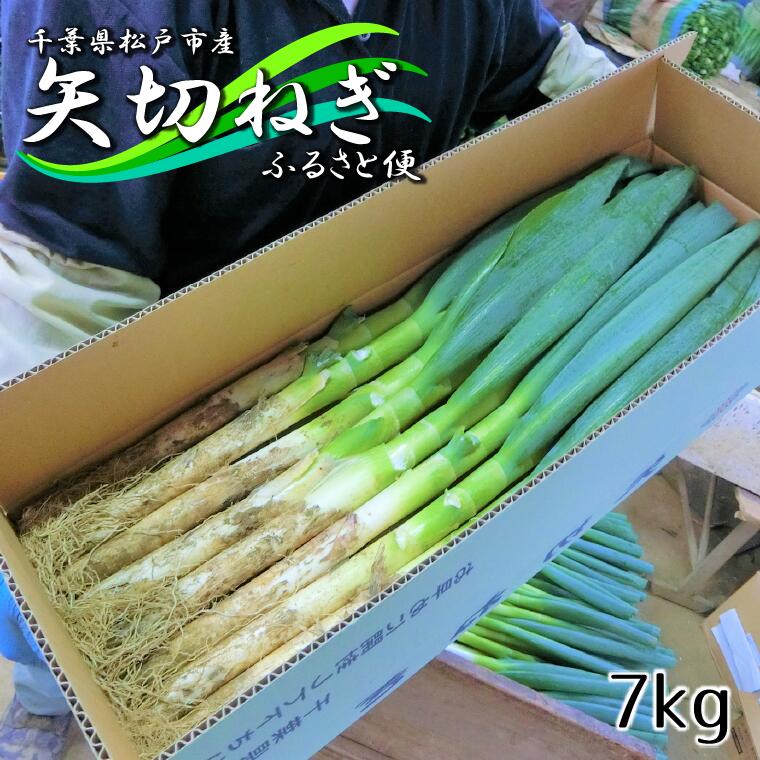 【ふるさと納税】平川さん家の矢切ねぎ ふるさと便 7kg　長ねぎ　鍋　贈答用のサムネイル