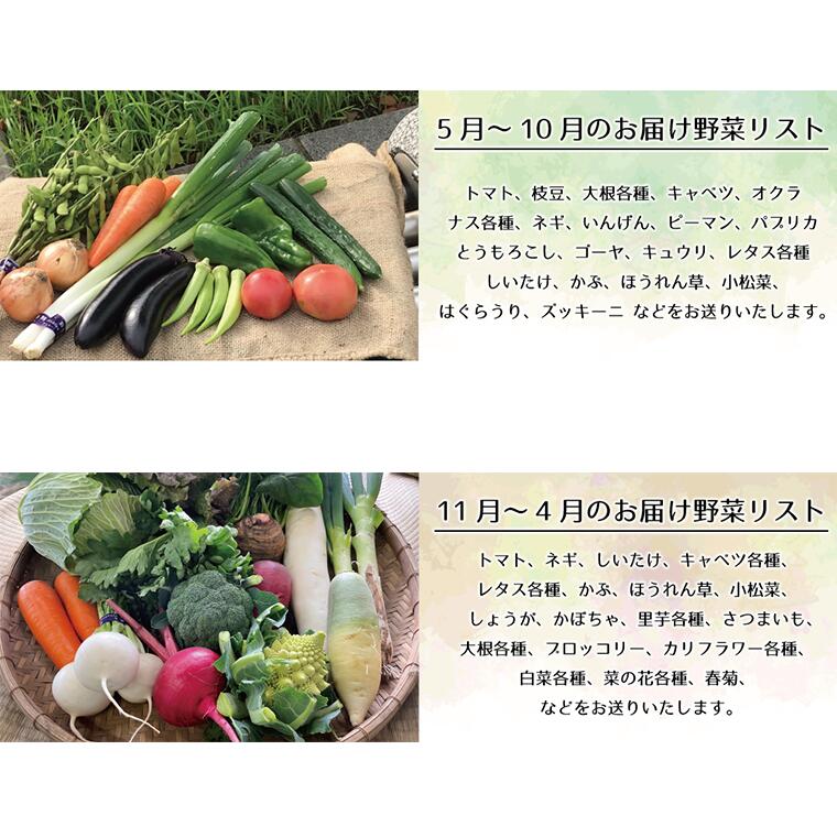 【ふるさと納税】毎月 定期便 3回 厳選 おまかせ 野菜 8種 詰め合わせ 福袋 戸張農園