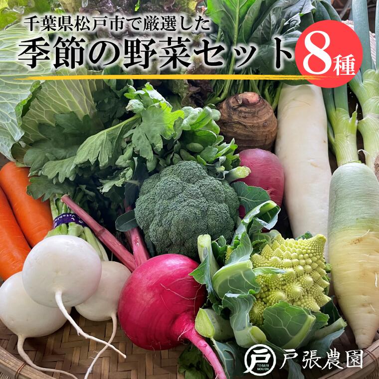 厳選 おまかせ 野菜 8種 詰め合わせ 福袋 戸張農園