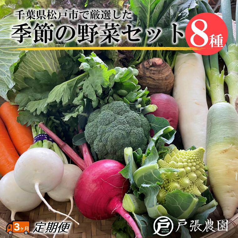 毎月 定期便 3回 厳選 おまかせ 野菜 8種 詰め合わせ 福袋 戸張農園